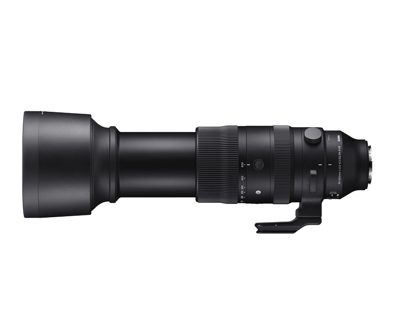 Sigma Sports 60-600mm 4.5-6.3 DG DN OS für L-Mount
