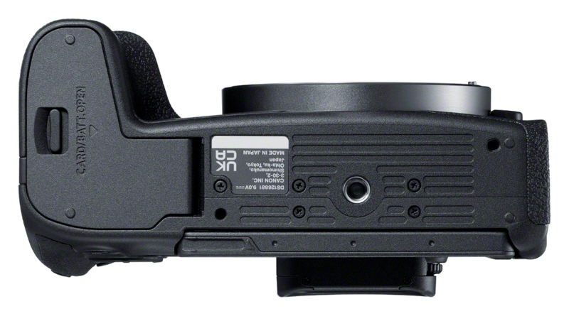 Canon EOS R8 + RF 24-50mm 4.5-6.3 IS STM