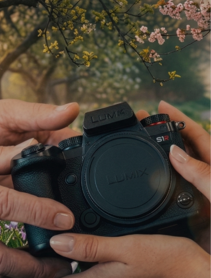 Kamera, Spiegelreflex?, Lumix, Schwarz, Hände