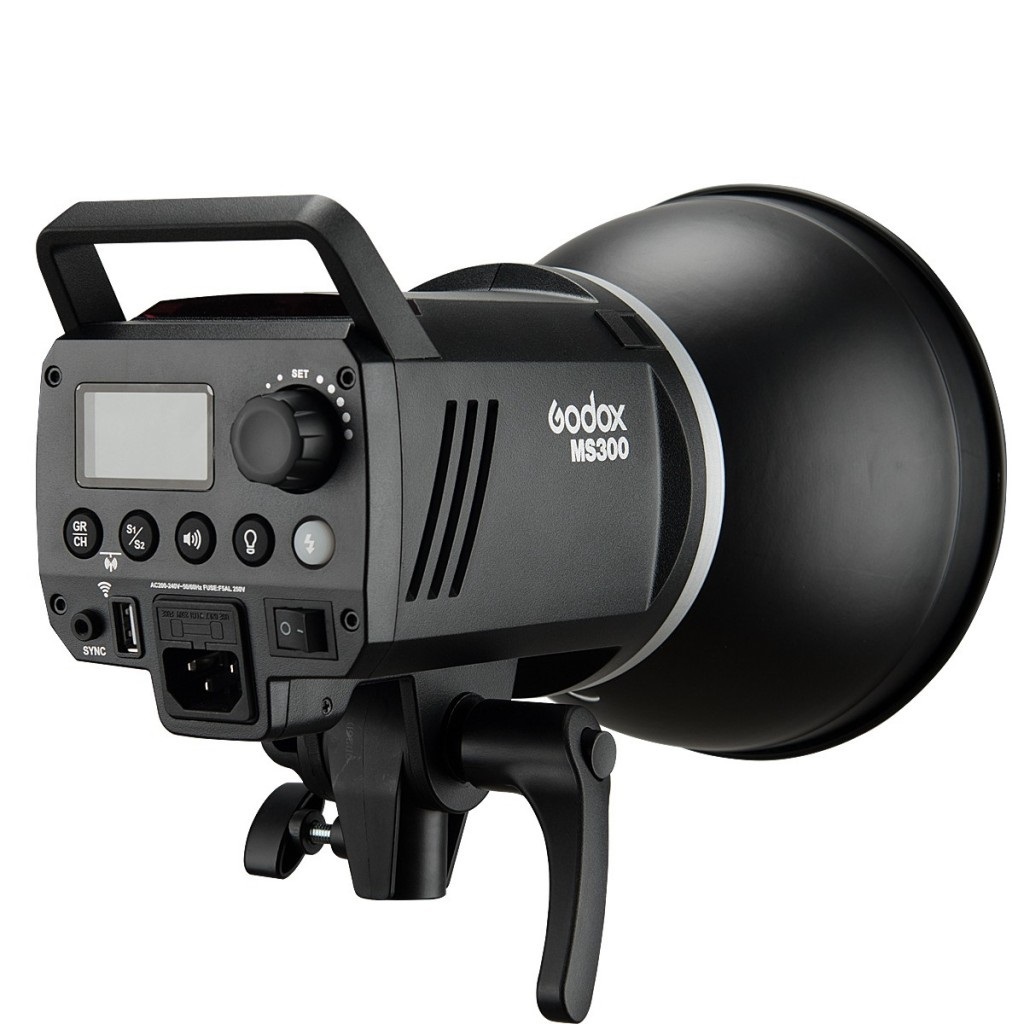 Godox MS300-F Kit Studioblitzgerät