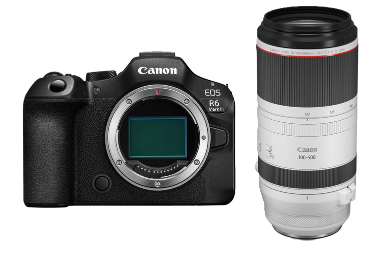 Canon EOS R6 Mark III + RF 100-500mm 4.5-7.1 L IS USM