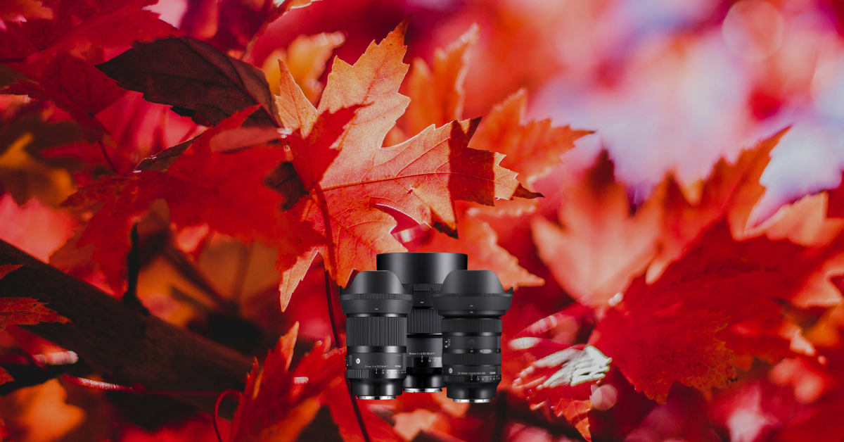 1200x628_sigma_herbst_cashback_102025