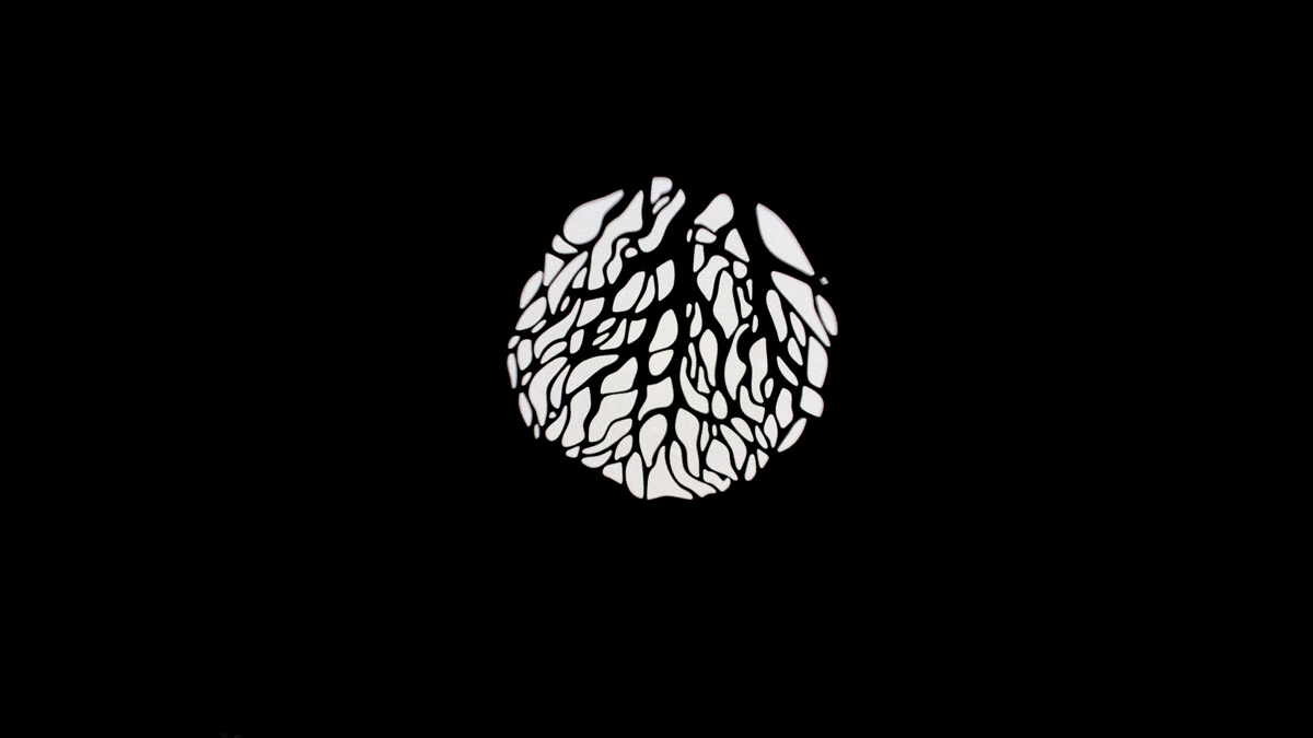 Nanlite PJ-BM-19 Projektionsvorsatz