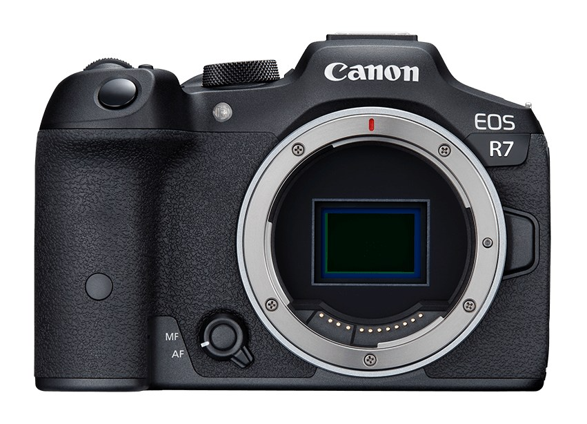 Canon EOS R7 + RF 50mm 1.8 STM