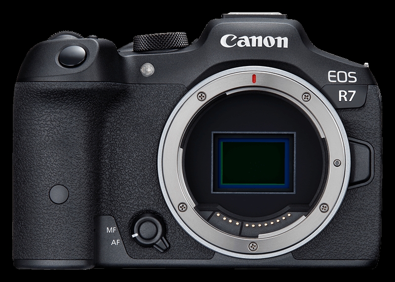Canon EOS R7 + RF-S 18-45mm 4.5-6.3 IS STM + RF 100-400mm 5.6-8 IS USM
