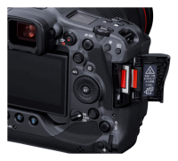 Canon EOS R3 + RF 28-70mm 2.8 IS STM