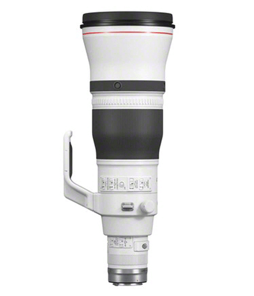 Canon RF 600mm 4.0 L IS USM
