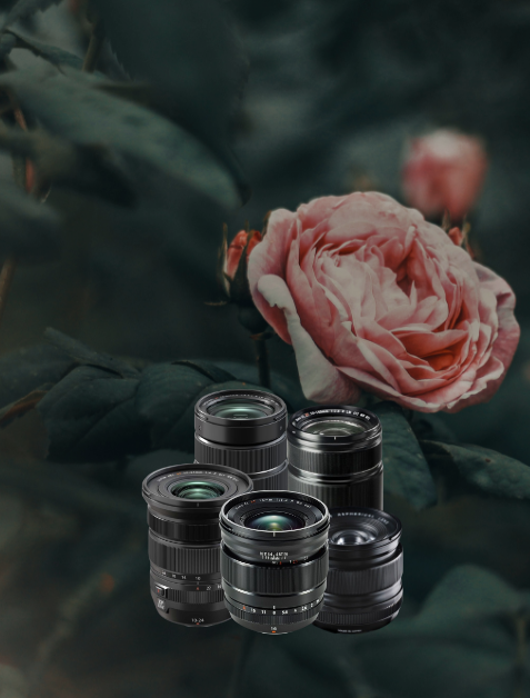 Objektivlinsen, Objektiv-Set, Fotografie-Ausrüstung, Makroobjektiv, Teleobjektiv