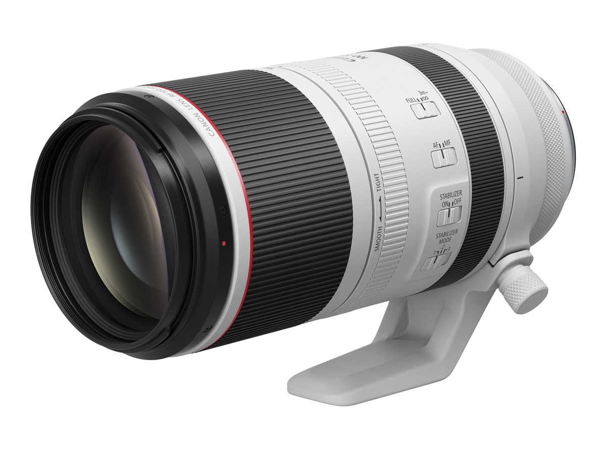 Canon EOS R6 Mark II + RF 100-500mm 4.5-7.1 L IS USM