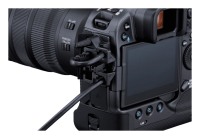 Canon EOS R3 + RF 50mm 1.8 STM
