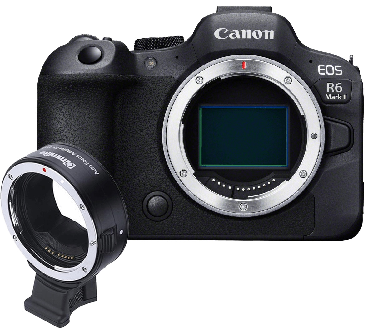 Canon EOS R6 Mark II + Bayonettadapter EF/EOS R  , mit Stativfuss