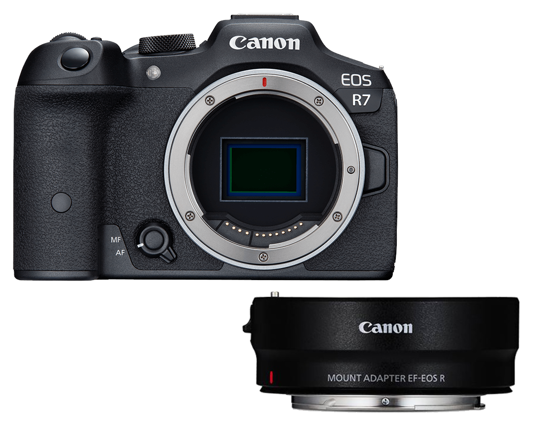 Canon EOS R7 + EF-EOS R Adapter