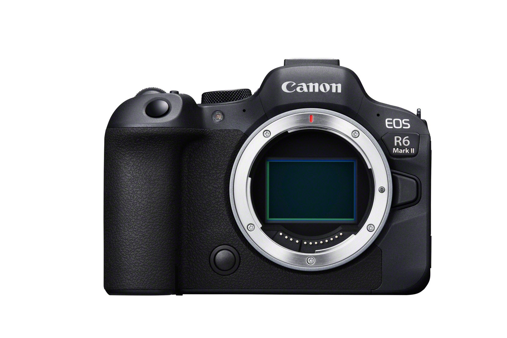 Canon EOS R6 Mark II + RF 100-500mm 4.5-7.1 L IS USM