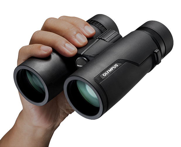 Olympus PRO 10x42 Fernglas