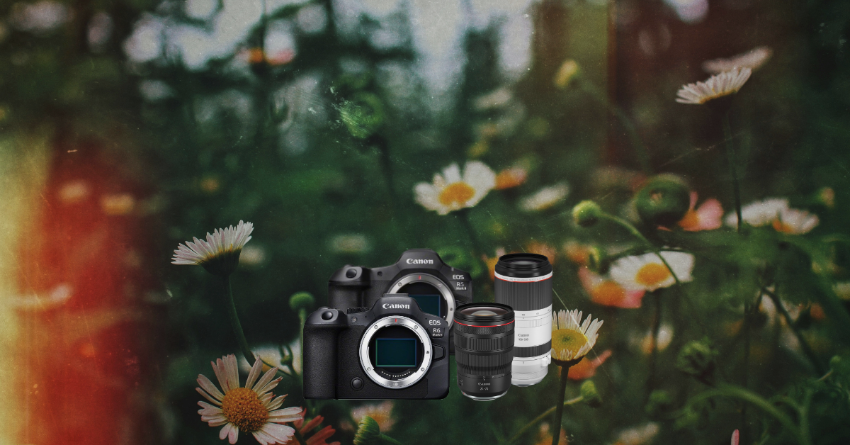 kamera, digitale kamera, objektive, spiegelreflexlose kamera, Canon