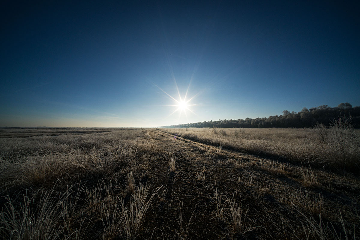 Voigtländer Hyper Wide Heliar 10mm 5.6 VM ASPH. für Leica M