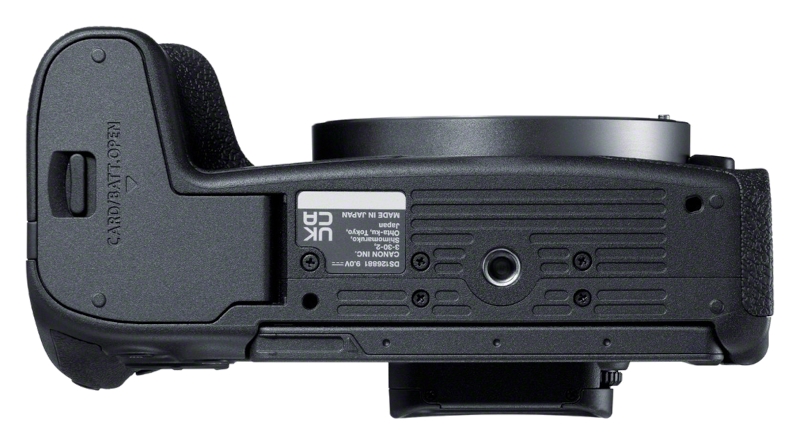 Canon EOS R8 + RF 24-240mm IS USM