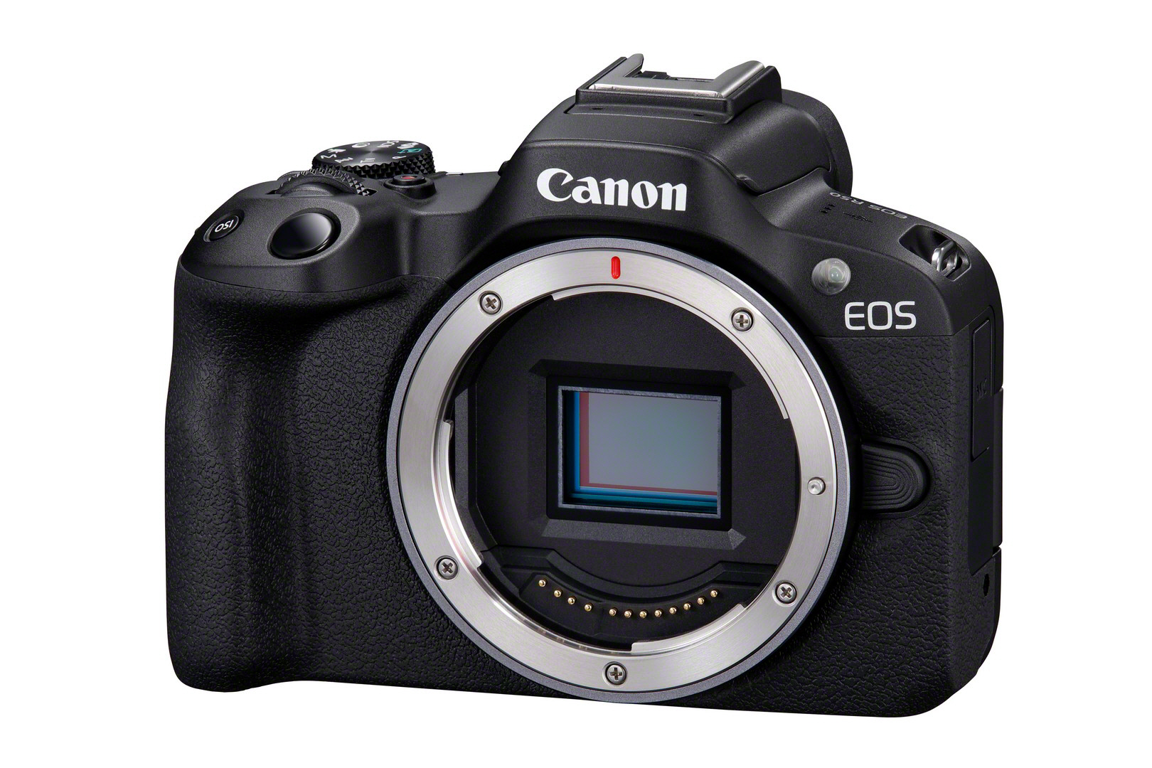 Canon EOS R50 + RF-S 18-45mm 4.5-6.3 IS STM + RF-S 55-210mm 5.0-7.1 IS STM