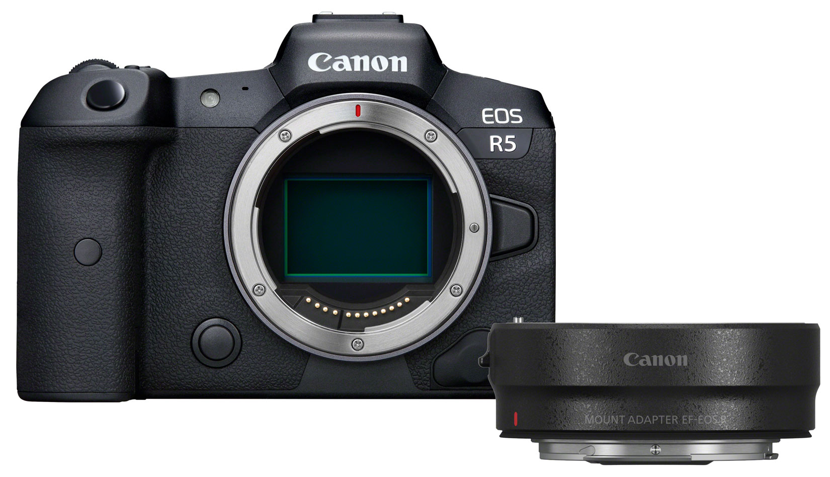 Canon EOS R5 + EF-EOS R Adapter