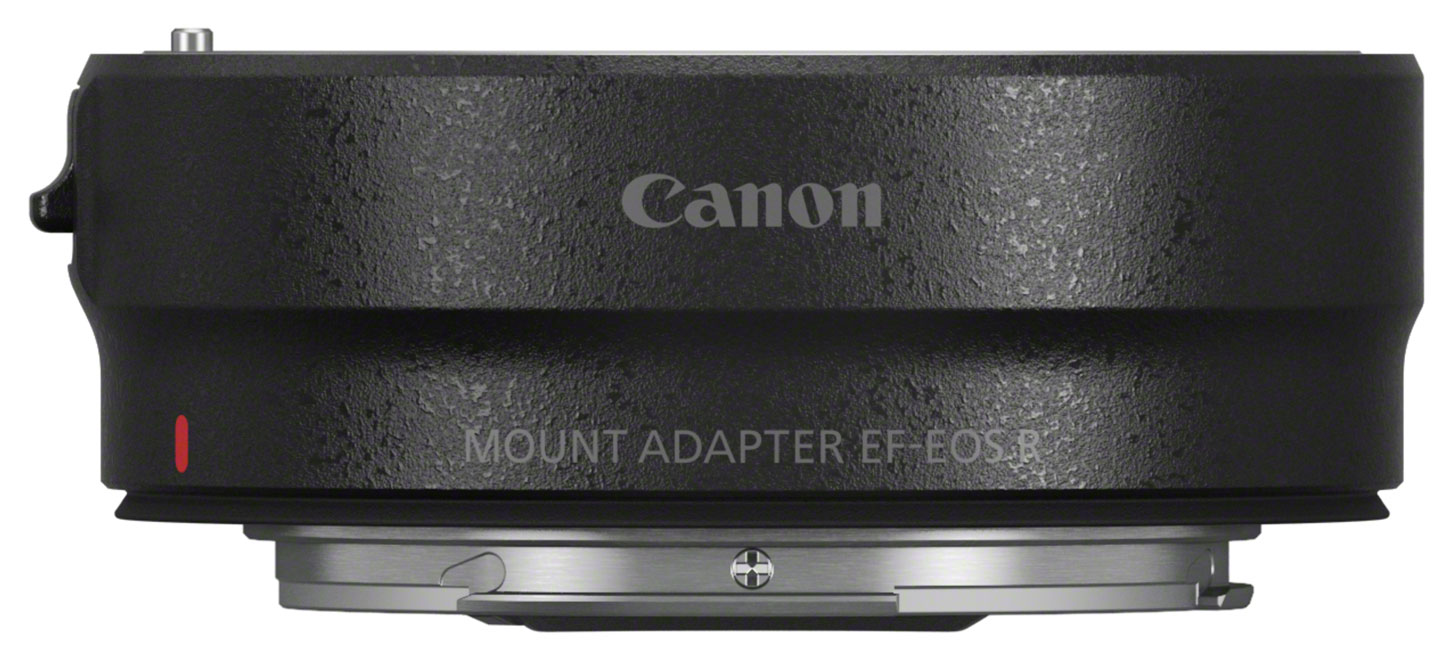 Canon EOS R5 + EF-EOS R Adapter