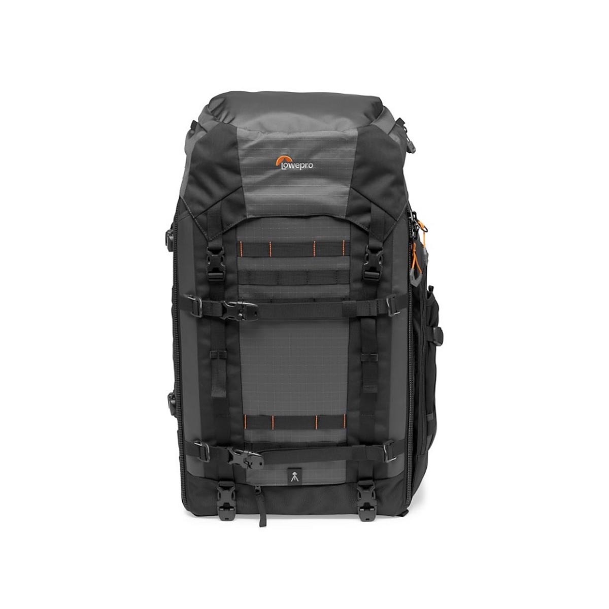 Lowepro ProTrekker BP 550 AW II grey Fotorucksack