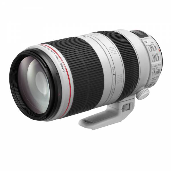 Canon EF 100-400mm 4.5-5.6 L IS USM II