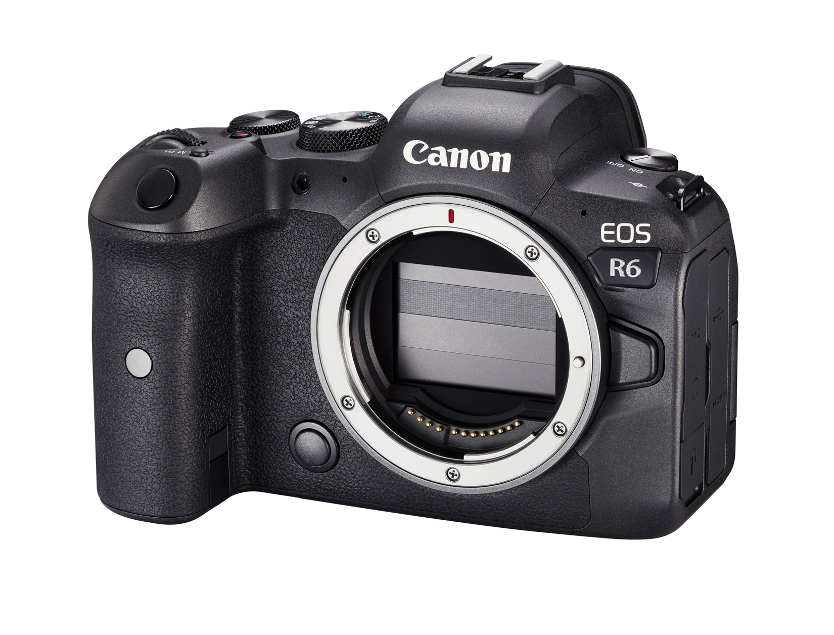 kaping Vermeend Primitief Canon EOS R6 + EF-EOS R Adapter mit Steuerungsring | Canon | Digitalkameras  | Foto Mundus